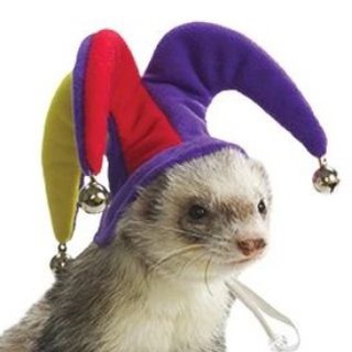 Логотип телеграм канала @ur_moms_circus — Цирк твоей мамы