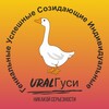 Логотип телеграм канала @uralgusi — URALГУСИ