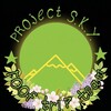 Telegram channel Project S.K.Y. logo