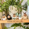Логотип телеграм канала @urban_botanica — Urban botanica