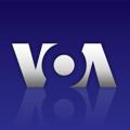 Telegram channel Urdu VOA logo