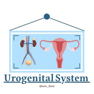 Telegram channel Urogenital System logo