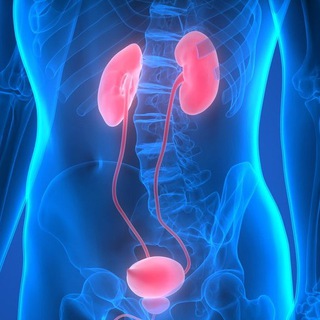 Telegram kanalining logotibi urolog_tavsiyasi — Erkaklar salomatligi(Dr. Jasur Yuldashev)