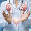 Логотип телеграм канала @urologia_2024 — Урология