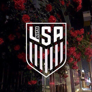 Логотип телеграм канала @usaofff — USA off 💦