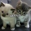 Логотип телеграм канала @uscoremeow — Мы? (на парковке)