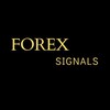 Logo of telegram channel usdjpygbpusdgbpjpyeurusdsignal — USDJPY XAUUSD GOLD GBPUSD GBPJPY EURUSD Signal
