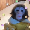 Логотип телеграм канала @usebanana — манке брадки