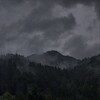 Логотип телеграм канала @usedshaya — ушедшая душа