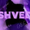 Логотип телеграм канала @ushv3d — shved
