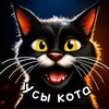 Логотип телеграм канала @usiu_kota — Усы кота