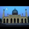 Telegram channel Usmon Zinnurayn. Uz logo