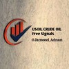 Telegram channel USOIL/CRUDE OIL SIGNALS logo