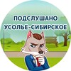 Логотип телеграм канала @usolyesibirskoye138 — Гуляй, Усолье-Сибирское