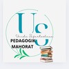 Telegram kanalining logotibi ustoz_siz_uchun — Ustoz siz uchun