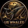 Telegram channel US WHALES™ logo