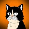 Логотип телеграм канала @usykota1 — Усы Кота
