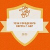Логотип телеграм канала @uszn_bor — УСЗН городского округа г. Бор