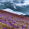 Логотип телеграм -каналу utah_names — Юрій Українець