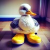 Логотип телеграм канала @utkavtapkah — Утка в тапках