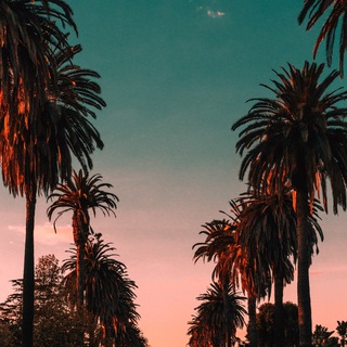 Логотип телеграм канала @utrohbk — Новости Хабаровска