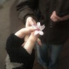 Логотип телеграм канала @uuroshka — плеяда и оленята