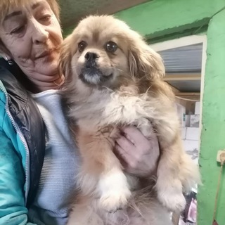 Логотип телеграм канала @uyutnidomik — ТРОО " УЮТНЫЙ ДОМИК"