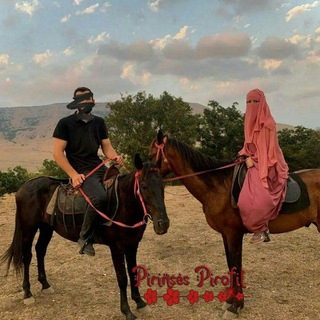 Logo de la chaîne télégraphique uz_muz707 - UZ_MUZ707