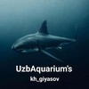 Telegram kanalining logotibi uzbaquariums — UzbAquariums🇺🇿 Kh_giyasov.