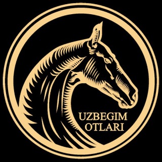 Telegram channel 