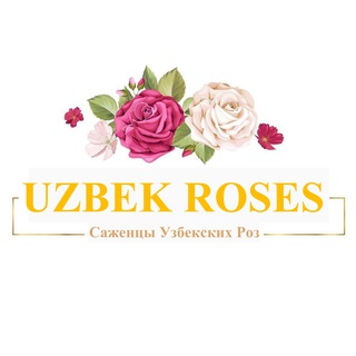 Логотип телеграм канала @uzbek_roses — Саженцы Узбекских Роз🌹