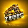 Telegram kanalining logotibi uzbek_tigers_fc — "UZBEK TIGERS"