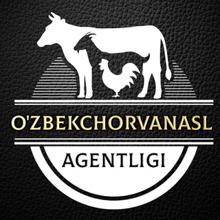 Telegram kanalining logotibi uzbekchorvanasluzbekistan — UZBEKCHORVANASL - NEWS
