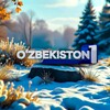 Telegram channel TV1 O'ZBEKISTON │Rasmiy logo