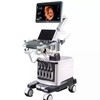 Telegram kanalining logotibi uzimed — ULTRASOUND.PRENATAL