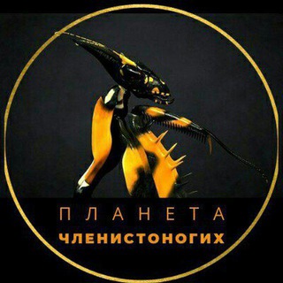 Логотип телеграм канала @v_mire_n — Планета членистоногих