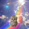 Логотип телеграм канала @v0qwak_x — ваквакеч онлифанс
