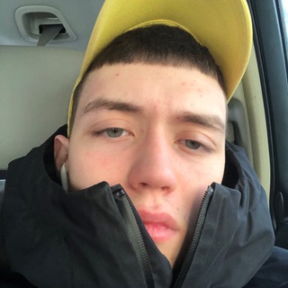 Логотип телеграм канала @v1lkinc — Vilkinc