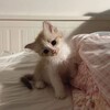 Логотип телеграм канала @v2086lubyat — в 2086 любят…