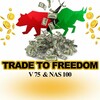 Telegram channel Trade To Freedom logo