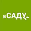 Логотип телеграм канала @v_sadu_1 — вСАДУ