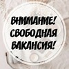 Логотип телеграм канала @vacansiirossya — Вакансии/Реклама/Объявления/