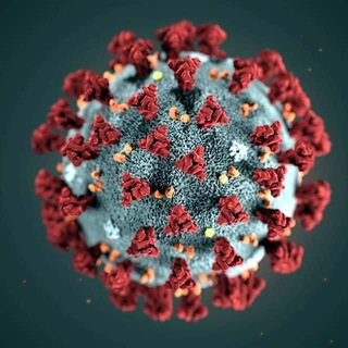 Logo del canale telegramma vaccinocoronavirus - Coronavirus 🌍🦠