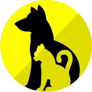 Telegram channel VaDeAnimales logo