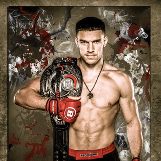 Логотип телеграм канала @vadimnemkov — Vadim Nemkov MMA
