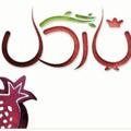 لوگوی کانال تلگرام vahidnouri — لباس زير زنانه نورى(نارگل)