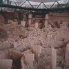 Логотип телеграм канала @vairgin — ПАЛЕОНТОЛОГИЧЕСКАЯ ПРАВДА ПАЛЕОНТОЛОГОВ (Меняйлов) 🚩