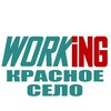 Логотип телеграм канала @vakansii_krasnomsele_rf — КРАСНОЕ СЕЛО Работа