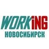 Логотип телеграм канала @vakansii_novosibirske_rf — НОВОСИБИРСК Работа