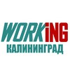 Логотип телеграм канала @vakansii_podrabotka_kaliningrade — КАЛИНИНГРАД Работа
